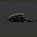 Modern beetle shape bug 3d model