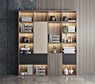 Modern bookcase 3d model