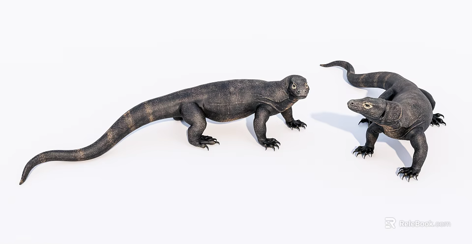 Two Black Reptiles Komodo Dragons With Scaly Skin Long Tails On White Background 3d model 