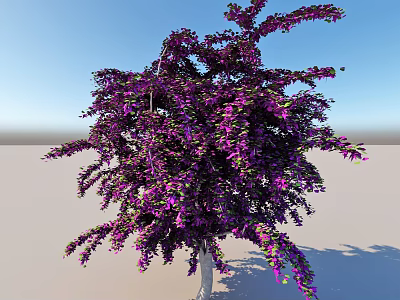 Purple Flowering Tree With Lush Foliage And Vibrant Blooms Against Clear Blue Sky 3d model