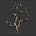 Natural Looking Decorative Dry Tree Branch With Multiple Twigs And Base