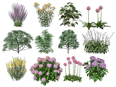 Modern Flower Flower Plant 3d model Modern Flower Flower Plant 3d model