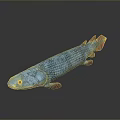 Realistic Aquatic Animal With Blue Green Body Red Fins Scales And Long Body