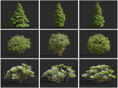 Different Arbor Tree Varieties Displaying Various Shapes and Lush Green Foliage in Landscaping 3d model