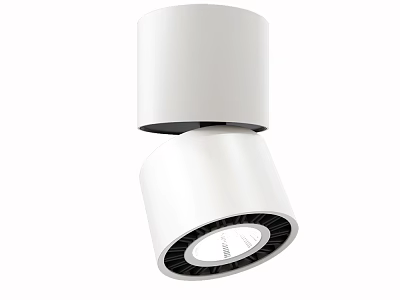 Modern White Downlight And Spotlight LED Ceiling Mounted Lighting For Home Interior Design 3d model