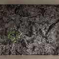 Dark Textured Natural Stone Background Wall With Green Plant And Wooden Frame