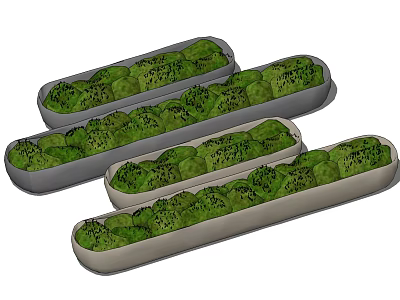 Multiple Bonsai Potted Plants In Long Containers With Lush Green Foliage 3d model