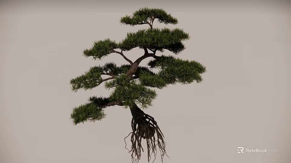 Bonsai Tree With Exposed Roots Twisted Branches And Dense Green Foliage 3d model 