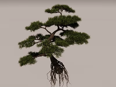 Bonsai Tree With Exposed Roots Twisted Branches And Dense Green Foliage 3d model
