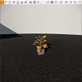 Bonsai Plant With Variegated Yellow Green Leaves In Square Modern Pot