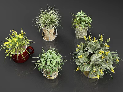 Bonsai Potted Plants In Various Styles With Colorful Pots Green Leaves And Small Yellow Flowers 3d model