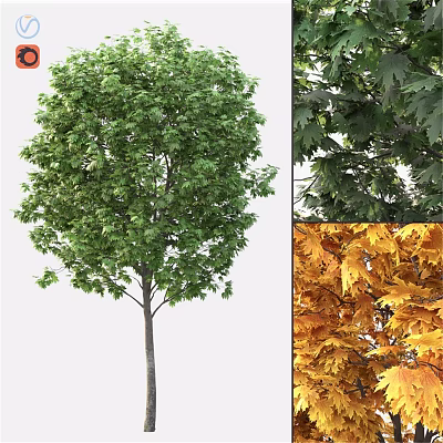 Decorative Ornament Set Featuring Green Tree Yellow Leaves And Leaf Close Ups 3d model