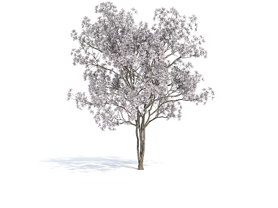 Blooming Arbor With Purple Blossoms And Brown Trunk In Lush Canopy 3d model