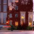 Elegant Swing Door On Building Facade With Red Ivy And Evening Street Lamp
