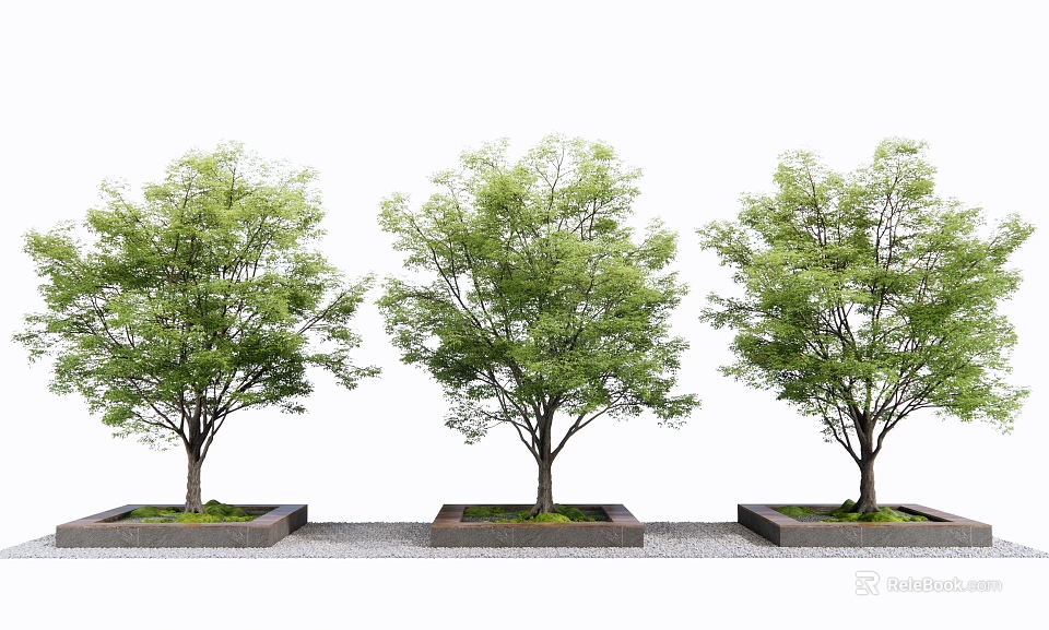 Three Green Leafy Trees in Rectangular Tree Pits Arranged in a Row 3d model 
