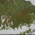 Various Types of Shrubs Growing on Snowy Ground With Green Plants