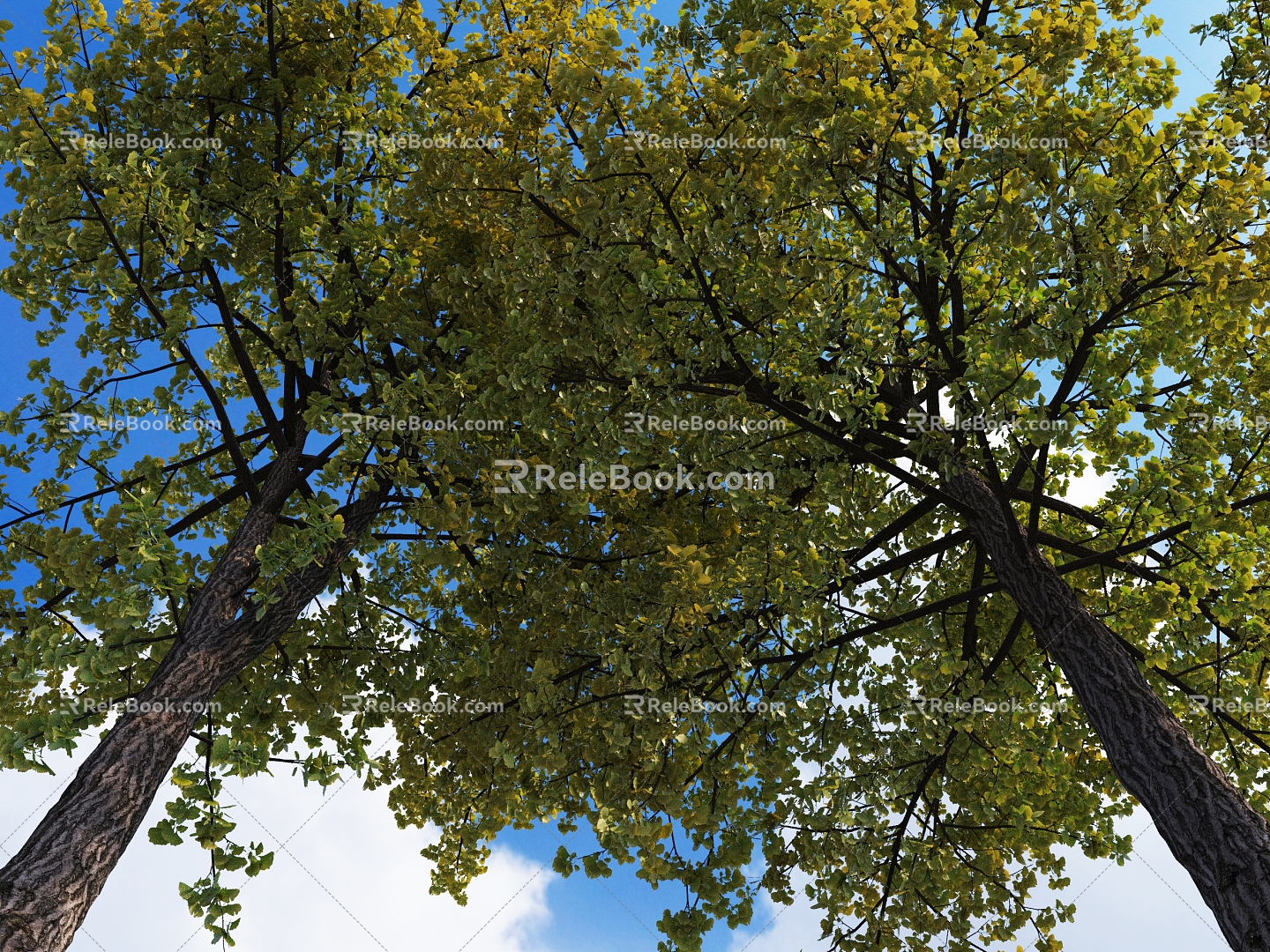 Gongsun tree ginkgo tree ginkgo tree big tree courtyard tree landscape tree greening tree road greening tree 3d model