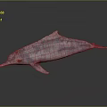 Pink Dolphin Marine Creature 3D Rendering With Spotted Textured Skin 3d model