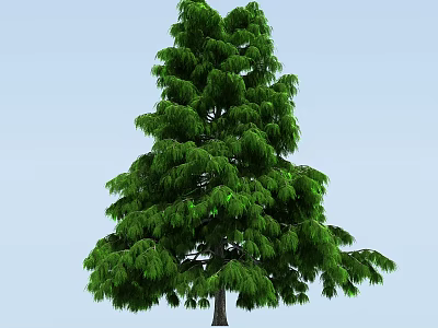 Tall Arbor With Lush Green Foliage And Dense Branches Against Blue Sky 3d model