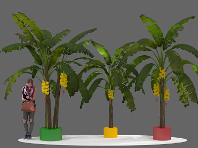 Banana Trees In Colorful Pots With Woman Carrying Brown Bag On White Floor Gray Background 3d model