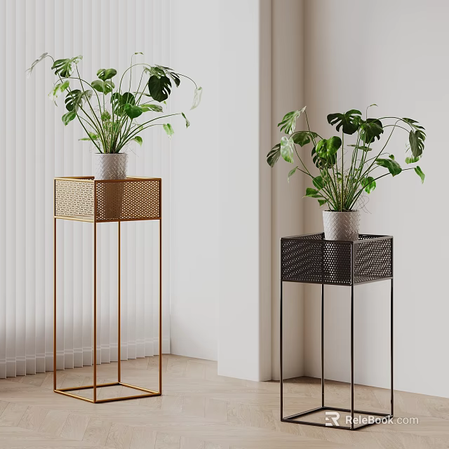 Stylish Indoor Potted Monstera Plants On Gold And Black Metal Plant Stands 3d model 