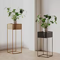 Stylish Indoor Potted Monstera Plants On Gold And Black Metal Plant Stands