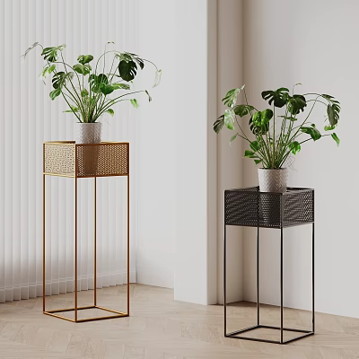 Stylish Indoor Potted Monstera Plants On Gold And Black Metal Plant Stands 3d model