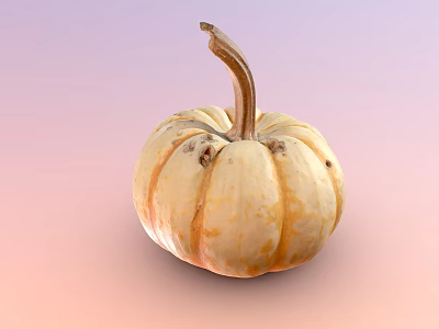 Fresh Ripe Pumpkin With Round Shape And Orange Yellow Skin As Healthy Food Ingredient 3d model
