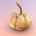 Fresh Ripe Pumpkin With Round Shape And Orange Yellow Skin As Healthy Food Ingredient