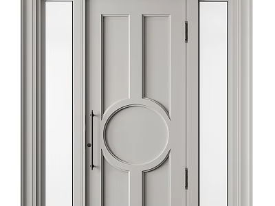 Modern Gray Swing Door With Panel Design And Glass Side Panels 3d model