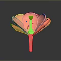 Vibrant Pink Flower With Green Stem Pistil And Yellow Dots On Gray Background