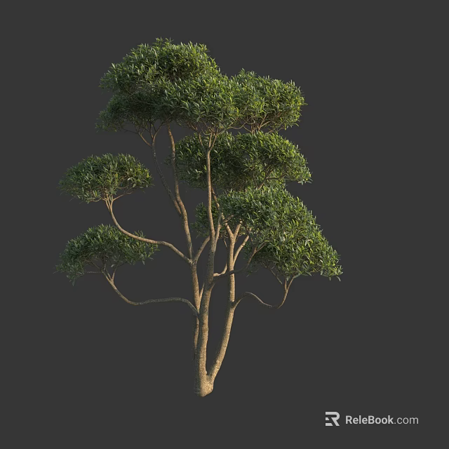 Green Leafy Shrub with Brown Trunk and Lush Healthy Branches 3d model
