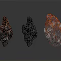 Three Wooden Stone Pieces With Varied Textures And Colors Showing Natural Surface Patterns