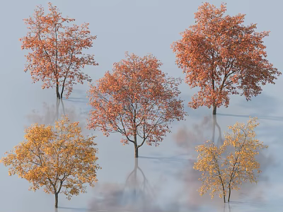 Vibrant Autumn Trees with Orange Yellow Foliage and Water Reflections 3d model