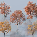 Vibrant Autumn Trees with Orange Yellow Foliage and Water Reflections
