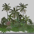 Lush Tropical Garden With Palm Trees Ferns And Pink Flowering Plants