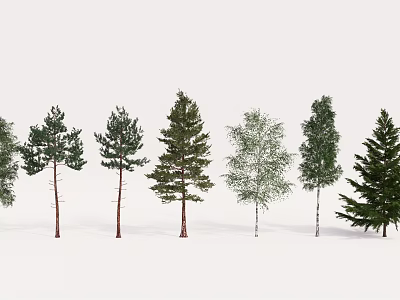 Various Tree Species With Green Foliage And Colored Trunks On Snowy Ground 3d model