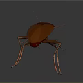 3D Rendered Red Brown Cockroach With Long Antennae And Legs On Grey Surface