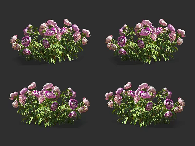 Pink and Purple Peonies With Green Leaves Decorative Floral Arrangement Four Different Views 3d model