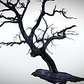 Leafless Tree With Twisted Trunk And Intricate Branches In Monochrome Illustration 3d model