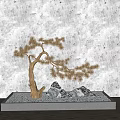 Decorative Pine Tree in Square Planter with White Pebbles Gray Rocks and Wooden Floor