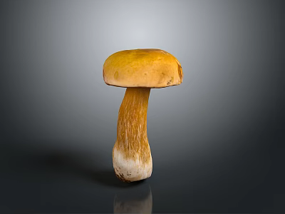 Mushroom Organ Structure With Hairy Stem Yellow Cap And White Base 3d model