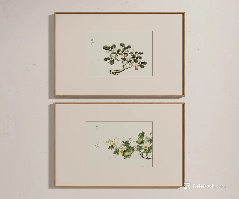 Botanical Paintings Wooden Framed Hanging On White Wall With Green Leaves And Fruits 3d model 