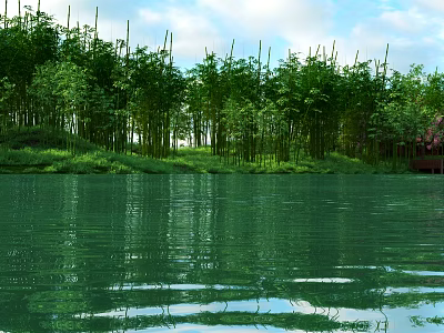 Scenic Bamboo Forest By Calm Water With Clear Reflections Of Blue Sky And White Clouds 3d model