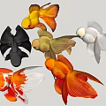 Ornamental Aquarium Fish of Various Colors Including Red Black White Yellow Varieties for Home