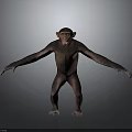 Chimpanzee in standing posture with arms outstretched against gray gradient background 3d model
