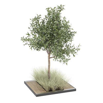 Tree Pit With Small Tree And Fresh Grass On Square Wooden Base 3d model