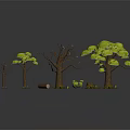 Green Grass With Trees In Lush Foliage Bare Trunks Small Sapling Stone And Mushrooms