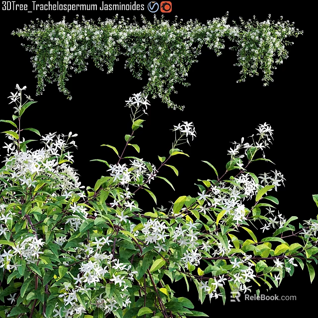 Garden Decor With Lush Green Leaves And Small White Flowers For Natural Fresh Ambiance 3d model 