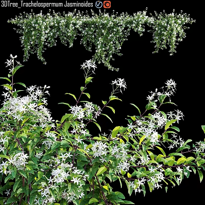 Garden Decor With Lush Green Leaves And Small White Flowers For Natural Fresh Ambiance 3d model